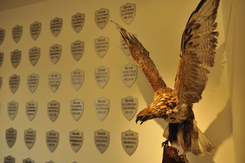 ����ͬ�Ęs�u����