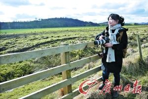 ����ӛ�߱����K���m�ߵ�������ľ�|(zh��)��ڵ�ԭ�͡�