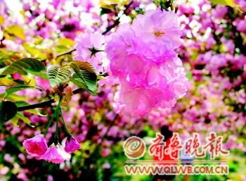 ���̘�(l��)�@��(n��i)�ęѻ���(zh��ng)�涷�G��ӛ���u�����z