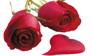 ����̼Ҹ���������(j��ng)����