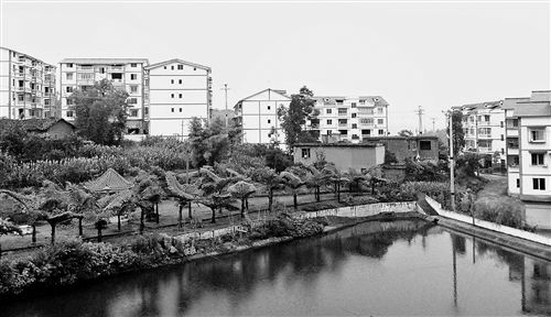 ���������(zh��n)�m�@���r���¾���ӛ��