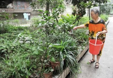 6��27����ͬ�Ƙ�M��8̖(h��o)Ժ���S�����ڽoԺ��ֲ�ˮ��