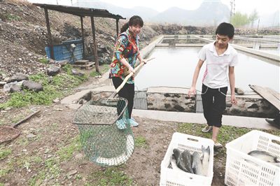 天河川是彩色流動的盛宴