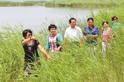 ���˂�?c��)��B(y��ng)�����e���ĺ�߅�Y(ji��)������